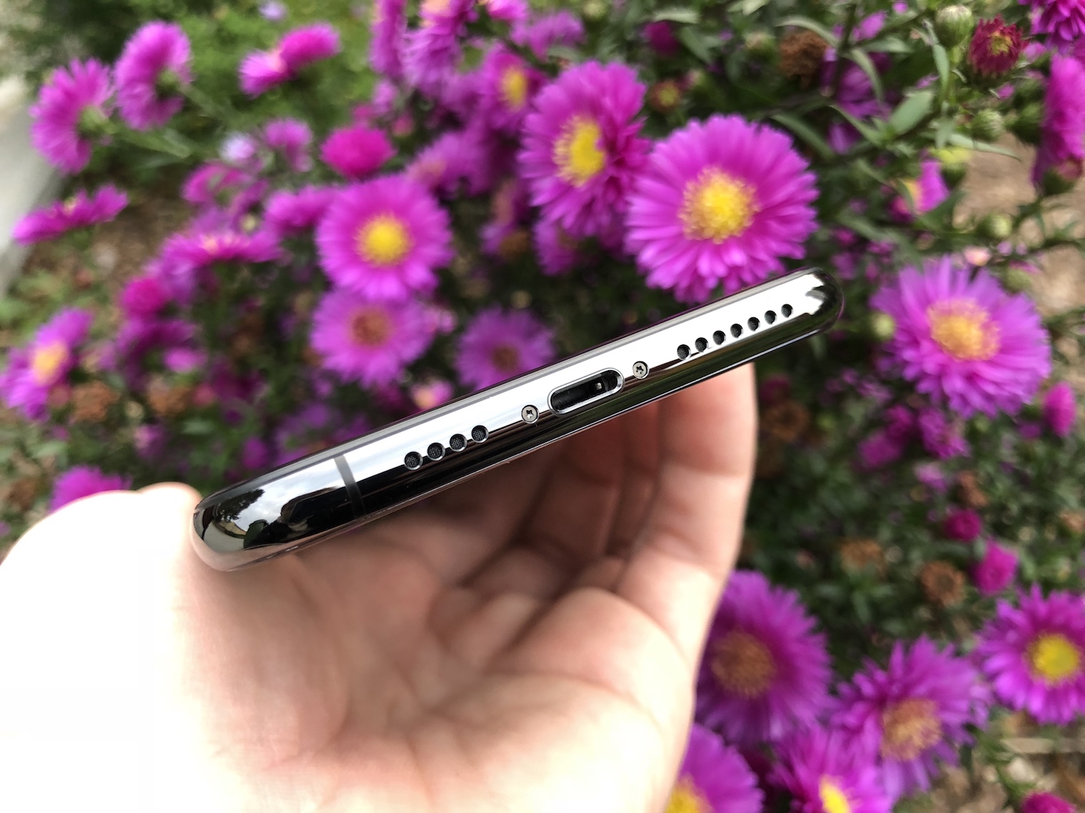 holding iphone bottom view flowers