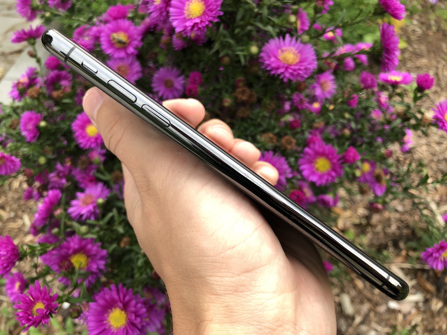 holding iphone side angle flowers