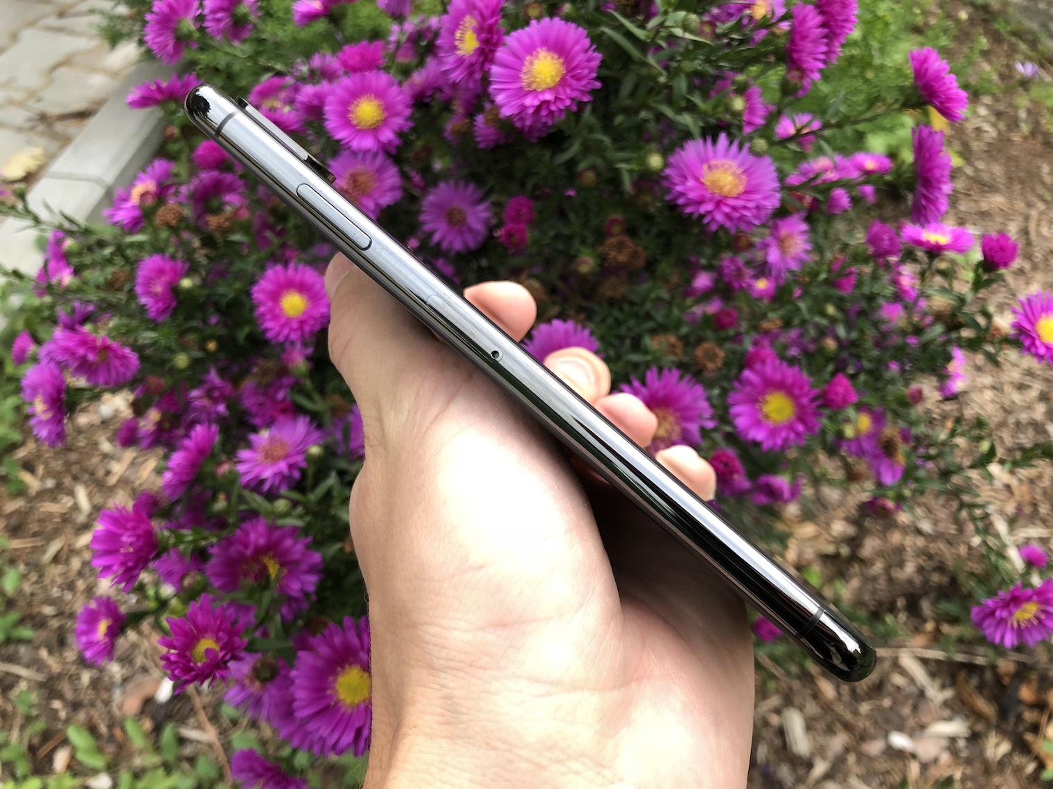 holding iphone side view flowers