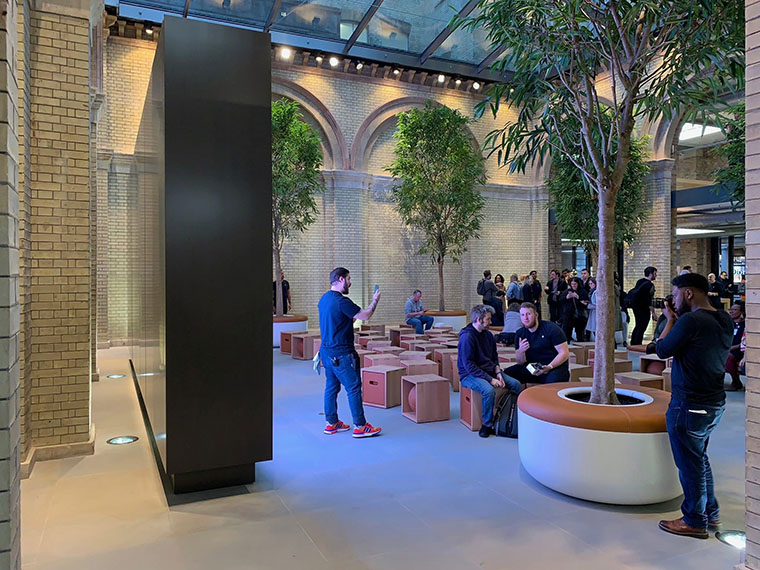 indoor gathering trees