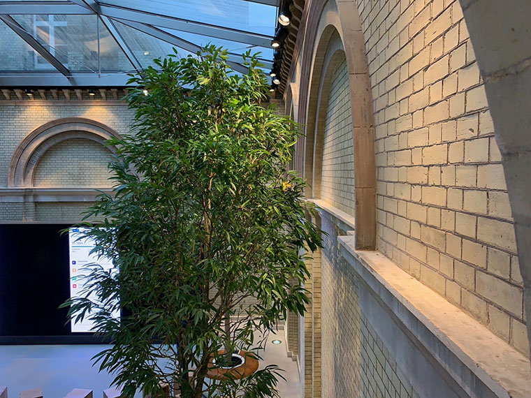 indoor presentation screen