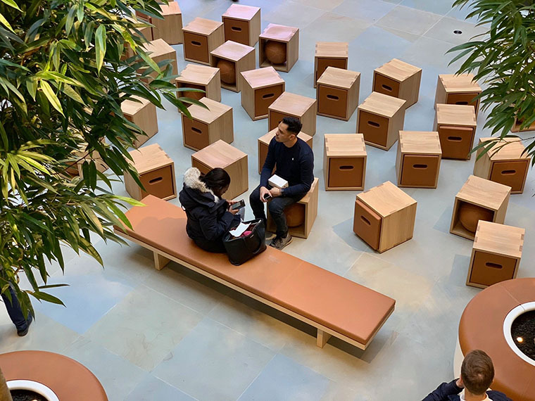 indoor tree architecture