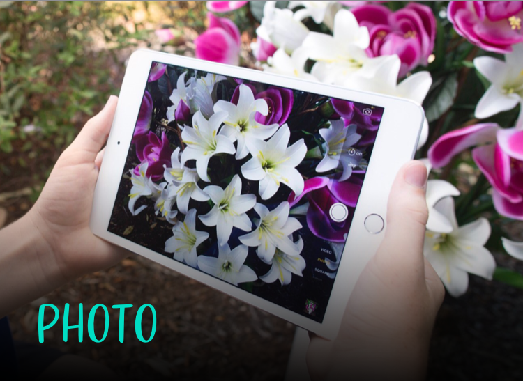 ipad flower photography