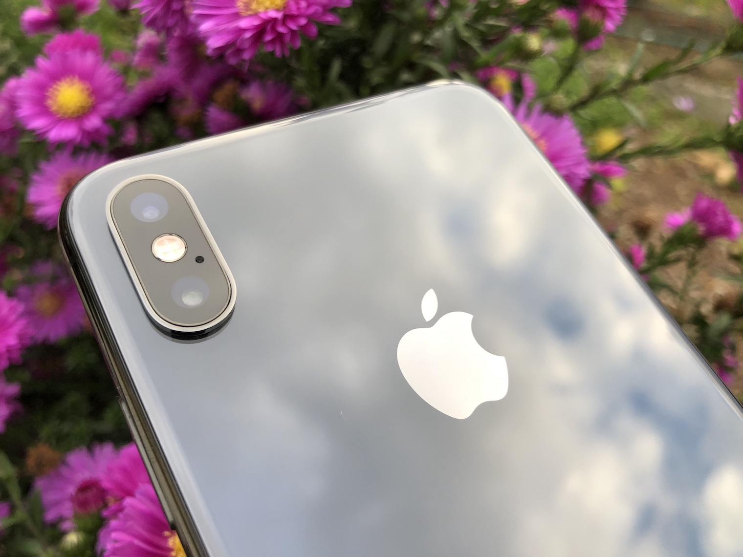 iphone back closeup with flowers