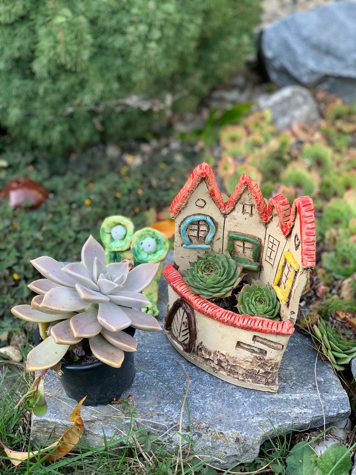 miniature house succulents