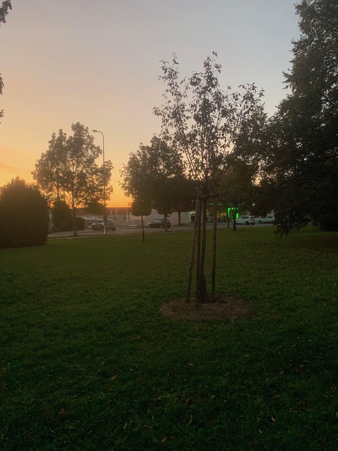 park sunset
