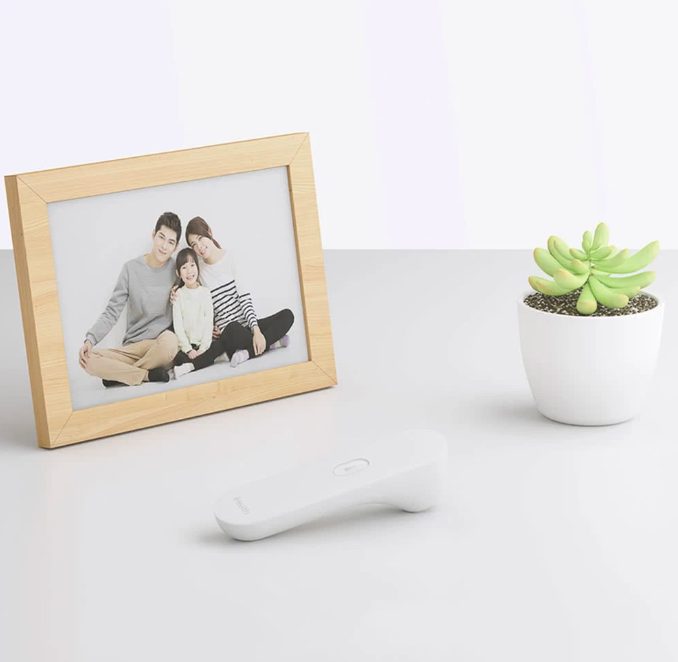 photo frame and succulent