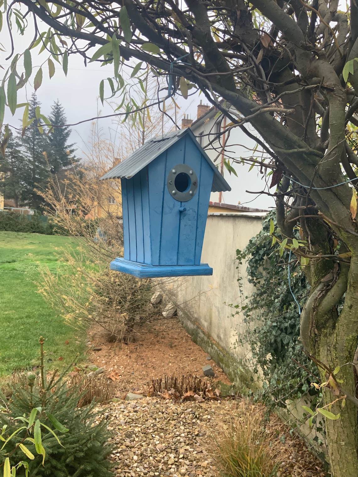 blue birdhouse in tree