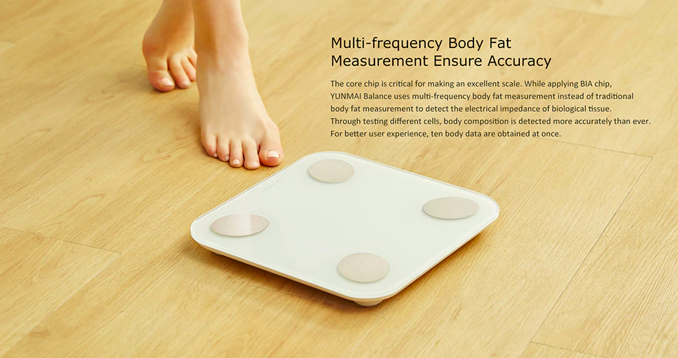 body fat measurement scale