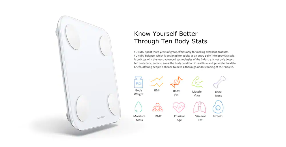 body stats scale features