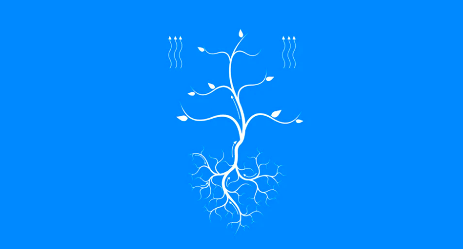 botanic bionic mop system