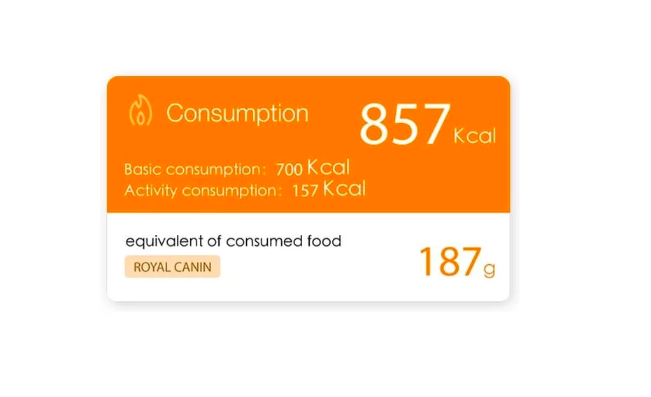 calorie consumption display