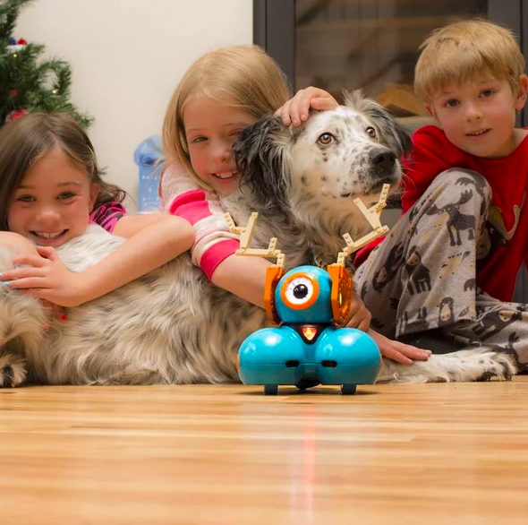 children playing with robot and dog