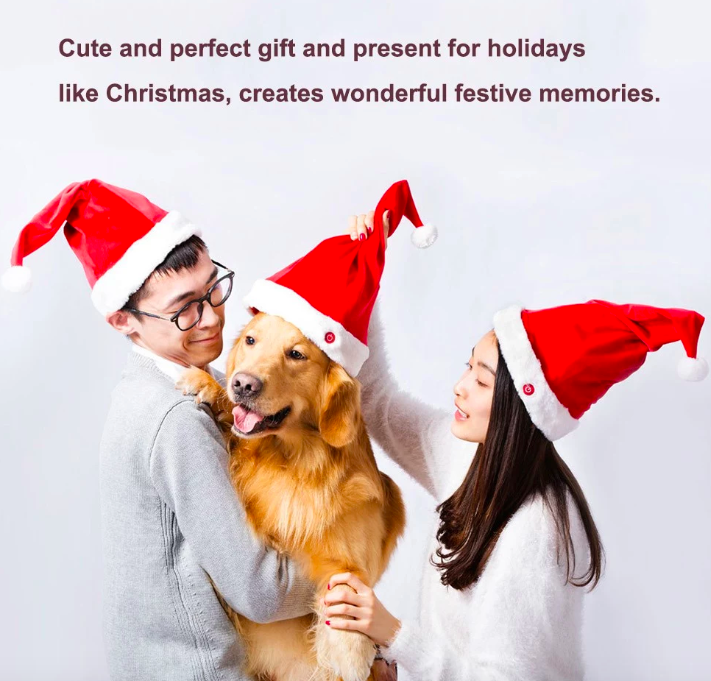 people and dog wearing santa hats