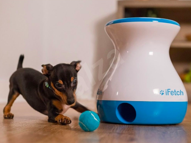 puppy with ifetch toy