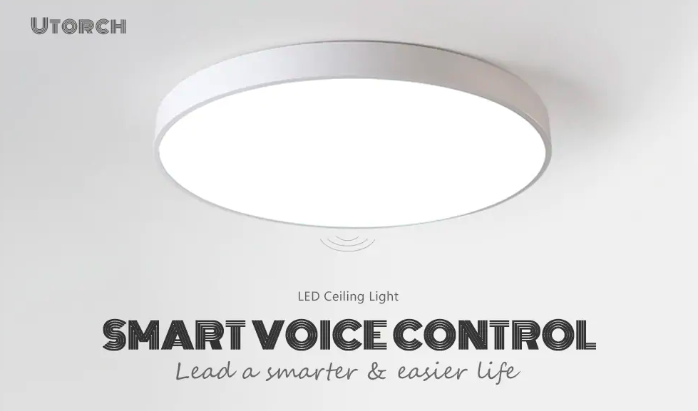 smart voice control ceiling light