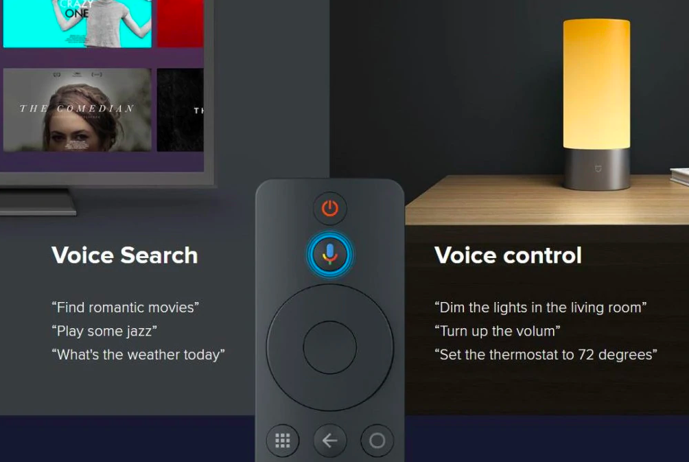 voice search control features