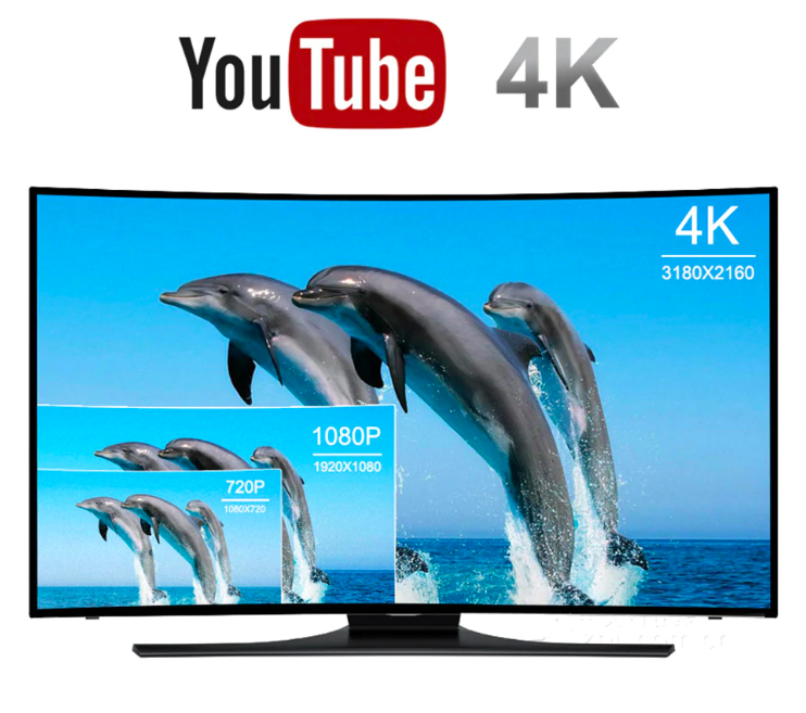youtube 4k dolphins