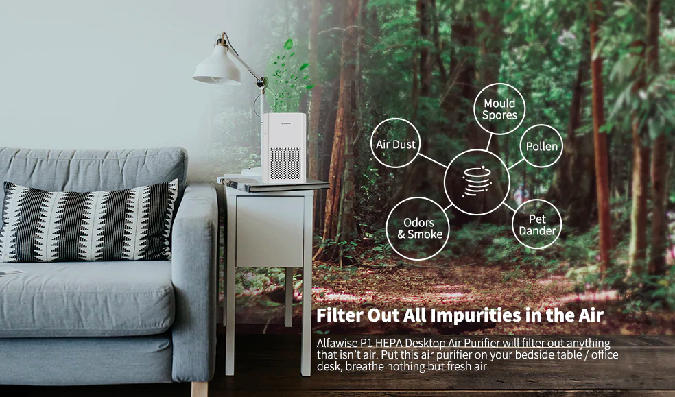 air purifier filter capabilities