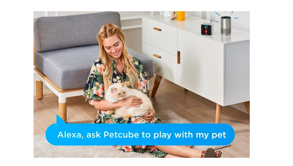 alexa petcube interaction