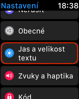 apple watch brightness text size