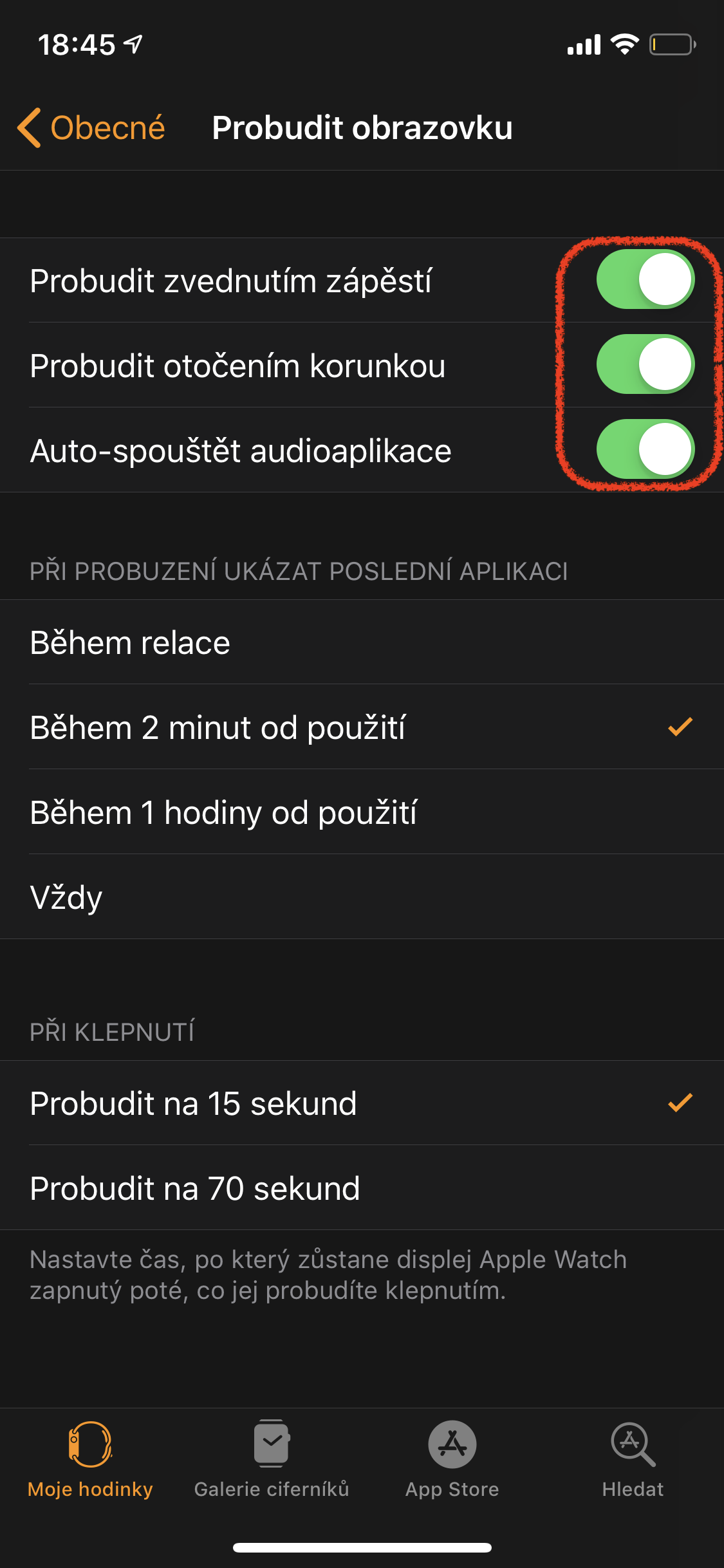 apple watch general settings menu