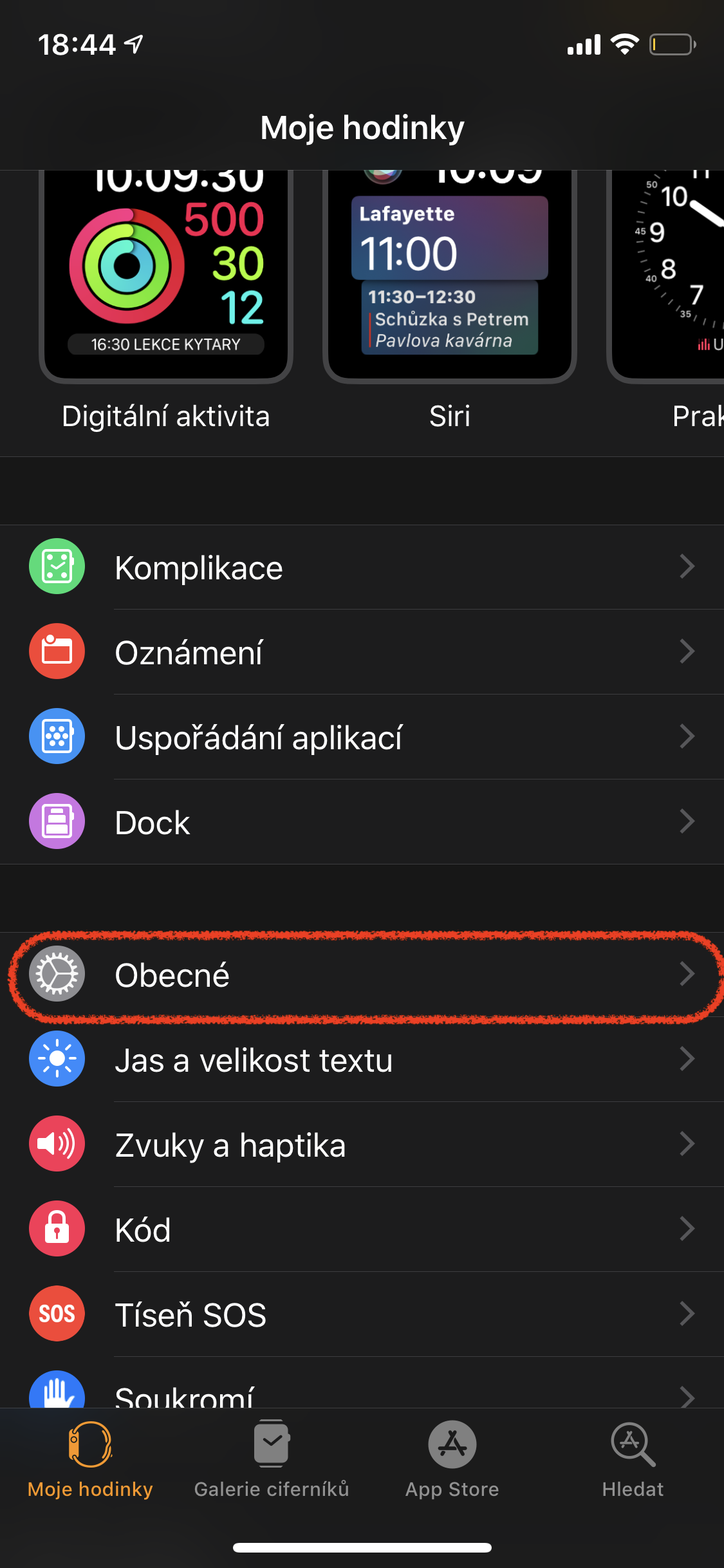 apple watch general settings