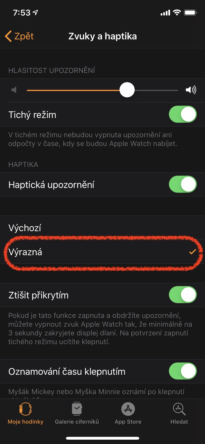 apple watch haptic settings prominent