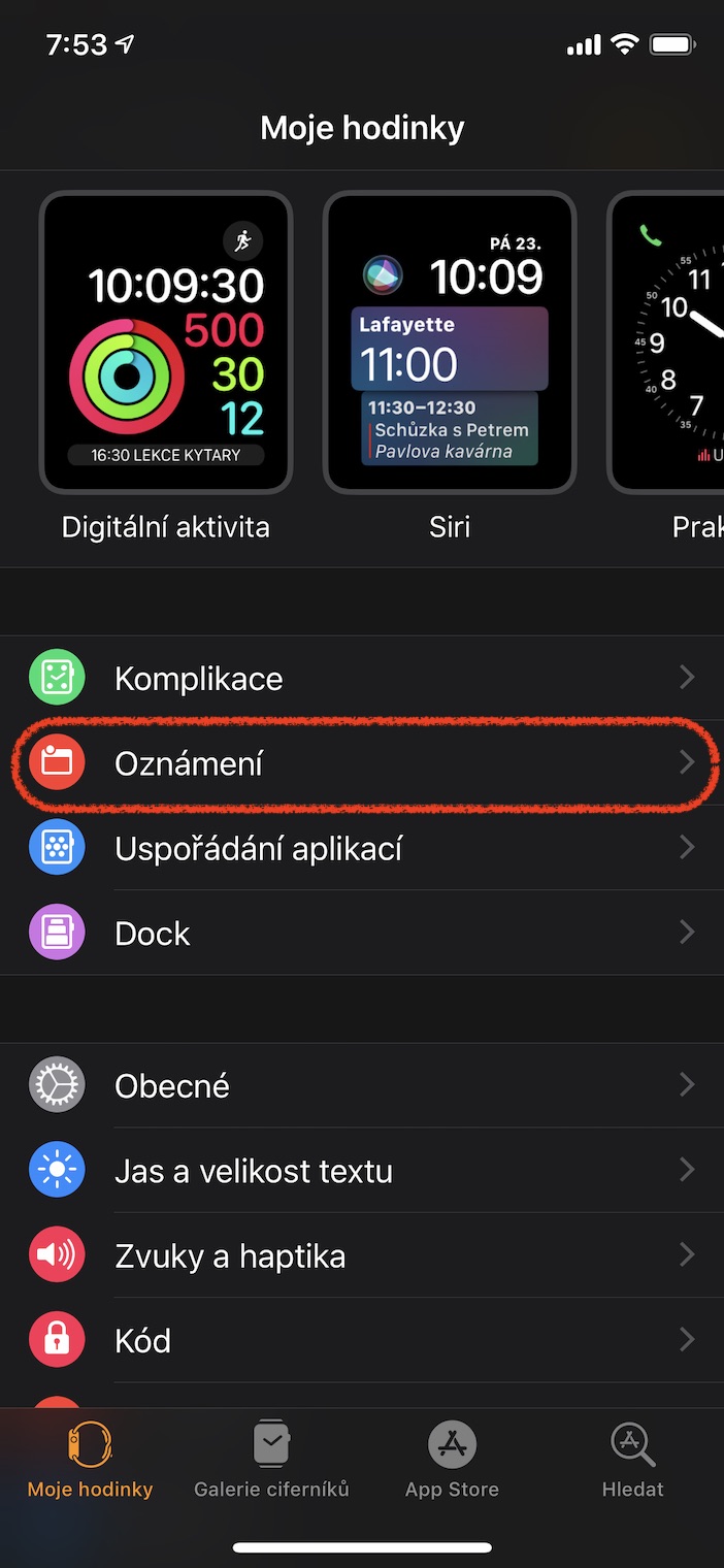 apple watch settings screen