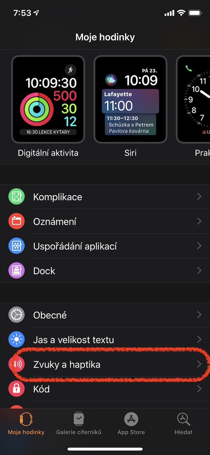 apple watch sound settings