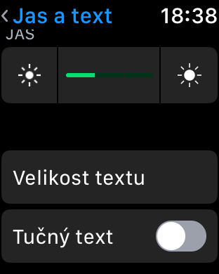 apple watch text size bold option