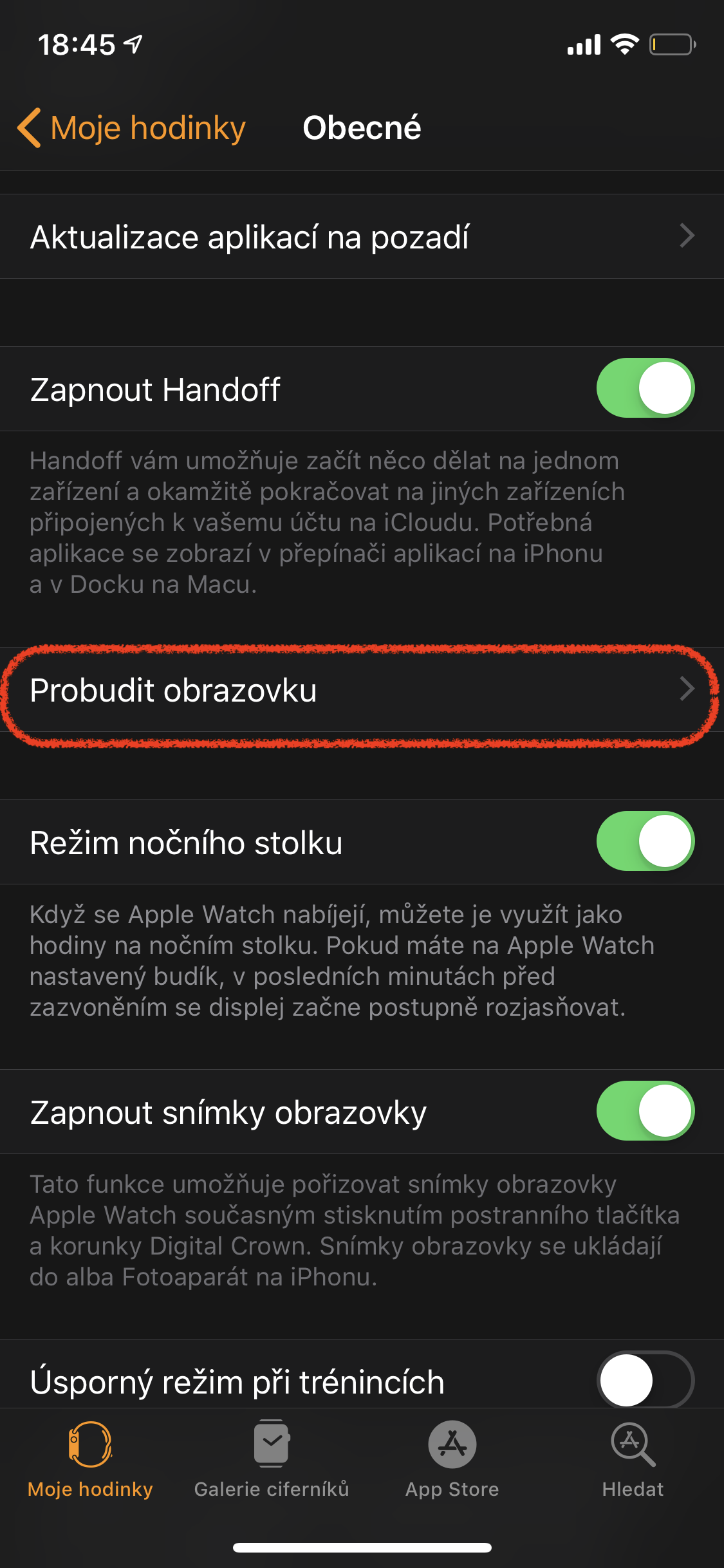 apple watch wake screen options