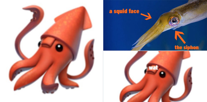 cartoon squid comparison