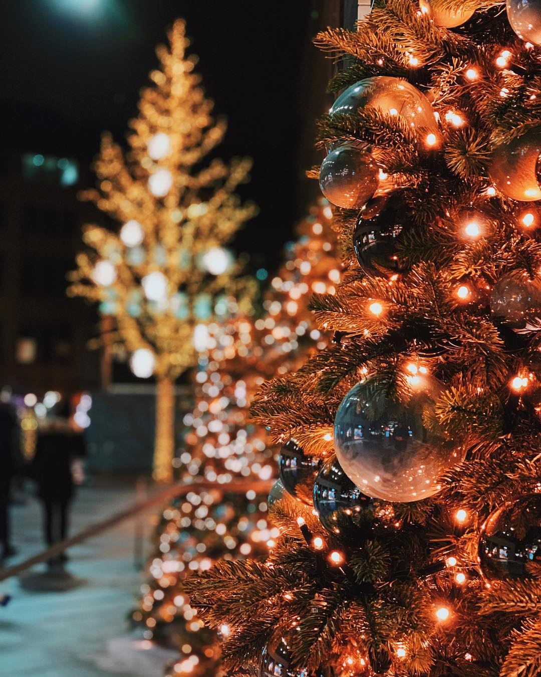 christmas tree lights night