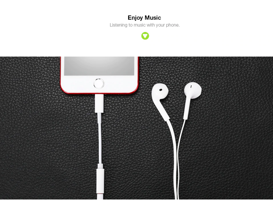 earphones with phone