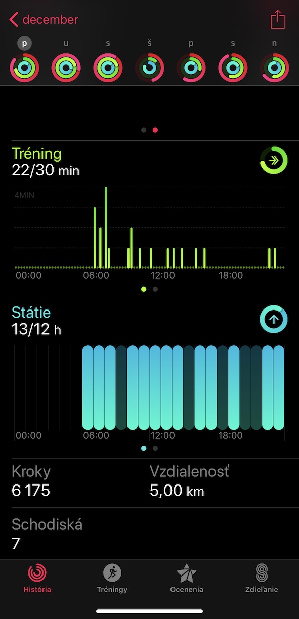 fitness tracking app activity