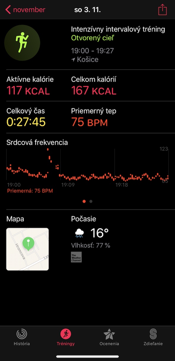 fitness tracking app summary