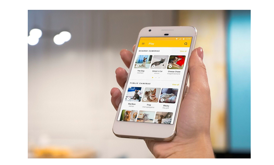 hand holding smartphone