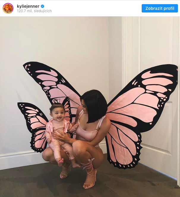 mother and child butterfly costume