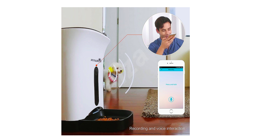 pet feeder voice interaction