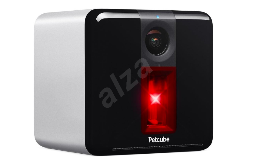 petcube camera closeup