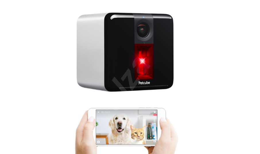 petcube camera with phone