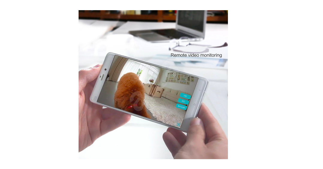 remote video monitoring phone