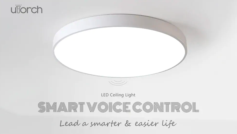 smart voice control ceiling light
