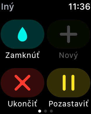 smartwatch lock and pause options