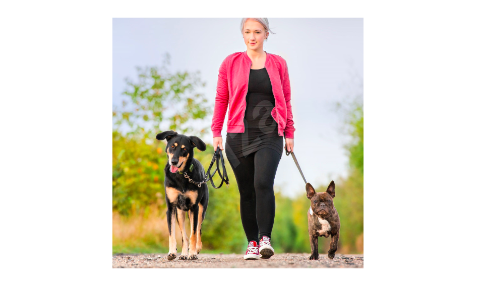 woman walking dogs on path