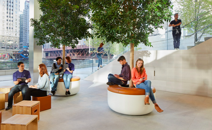 apple store interior seating