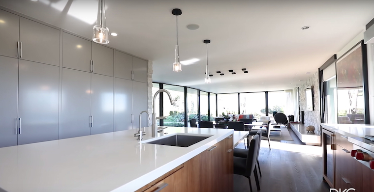 Elon Musk House 12