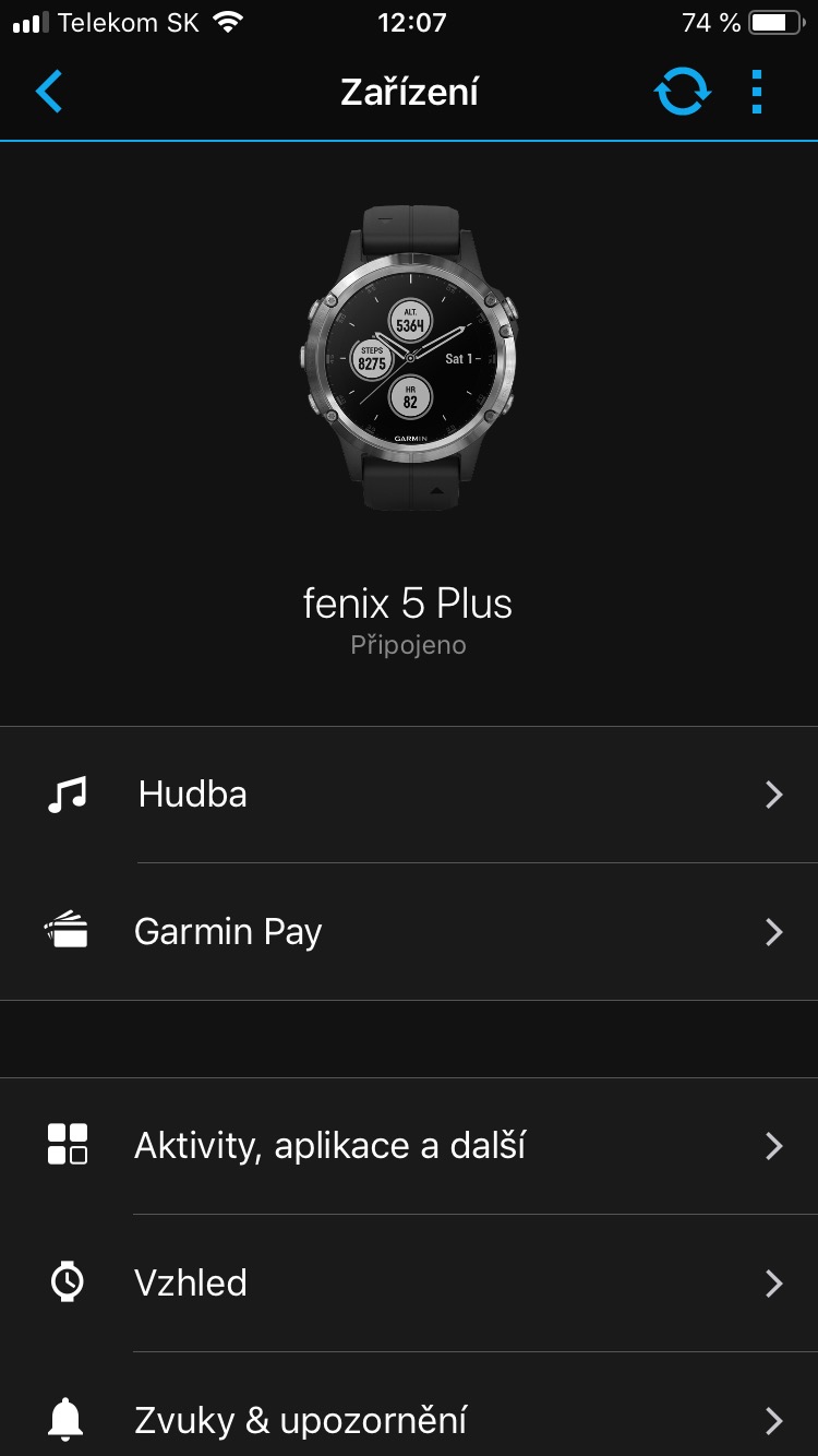 garmin fenix 5 plus interface