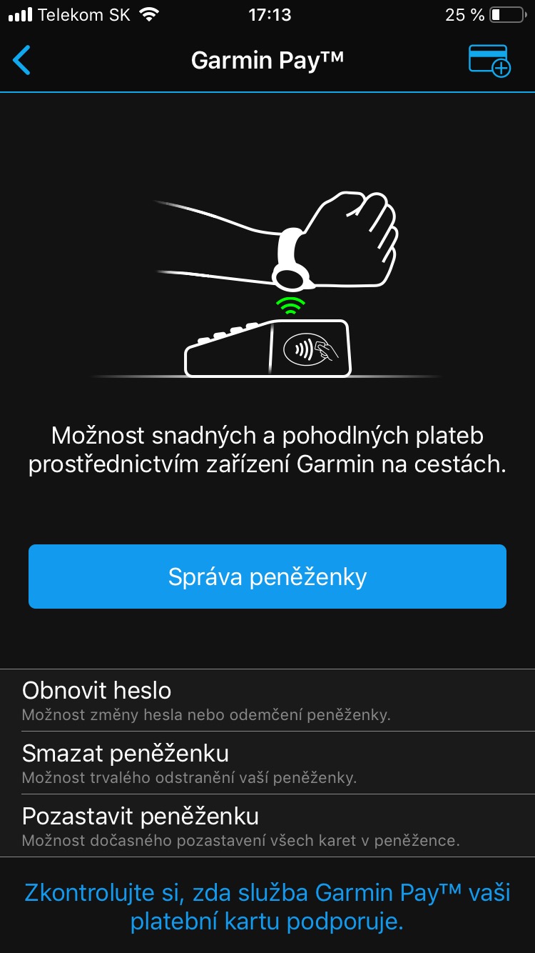 garmin pay interface